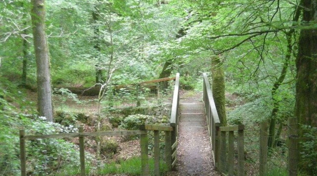 Footbridge on Torrent Walk