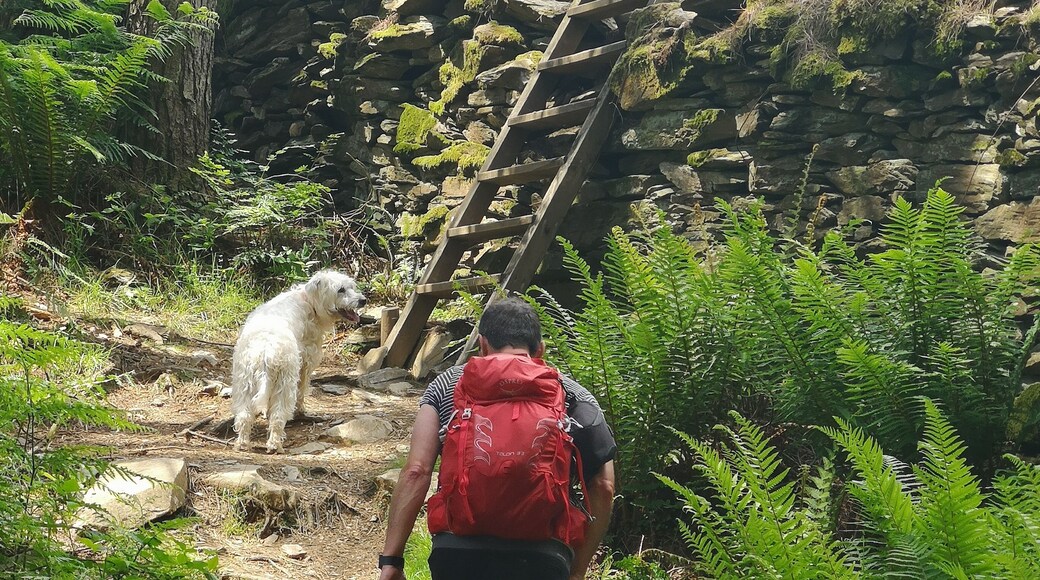Poppy waiting to be picked up and carried over the stile
