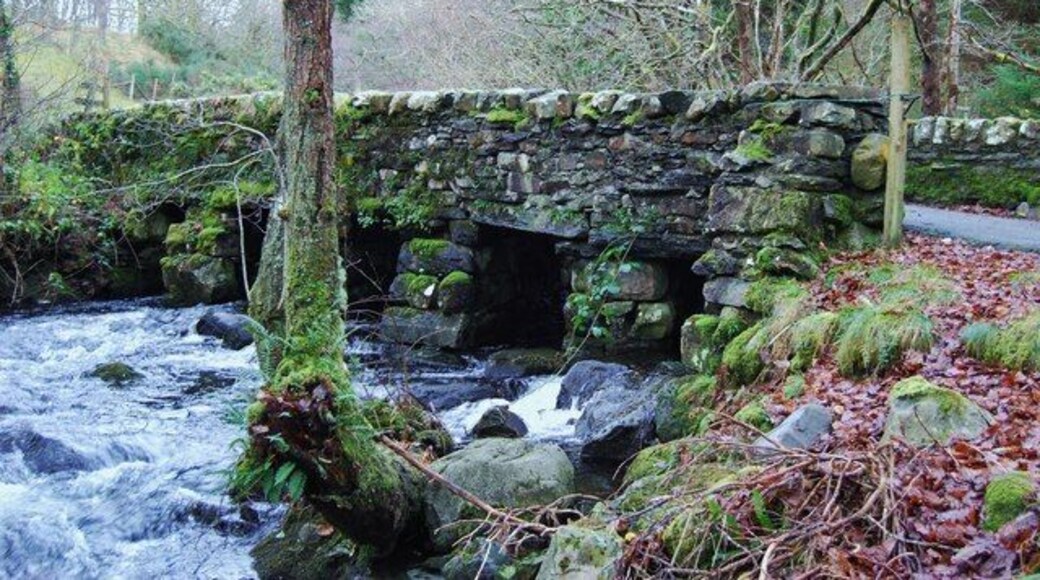 Bridge over Afon Cwm-mynach This un-named bridge is the de-lux version of the Pont Garth-gell in that it has stone sides at traffic level.