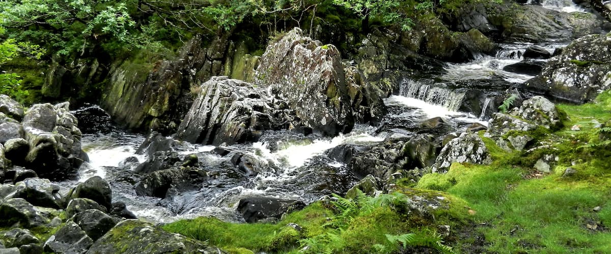 A rocky stream with moss-covered rocks and lush green foliage.