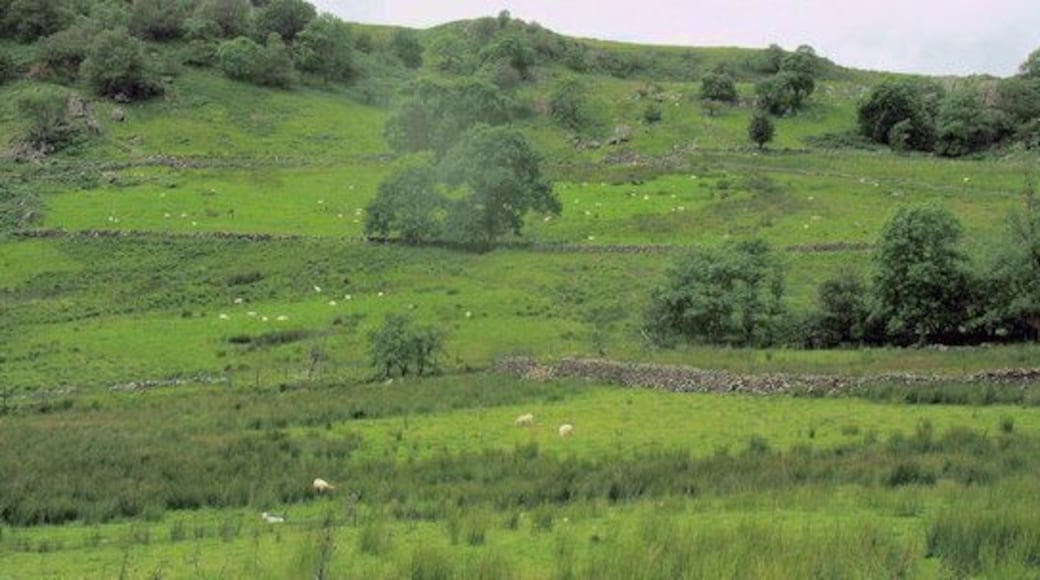 View west across the valley from Glan y Mynach