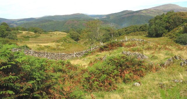 A stone wall, rolling hills, and dense forest.