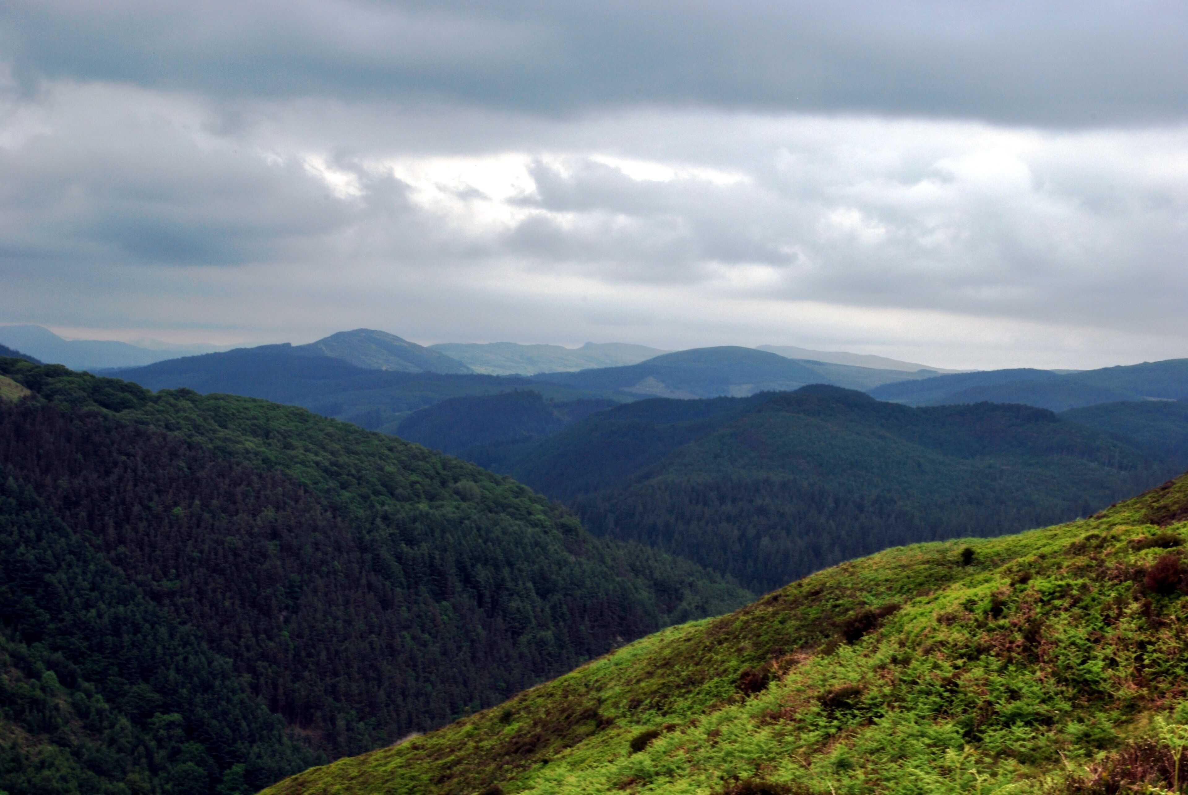 Un paisaje montañoso con bosques densos y colinas ondulantes bajo un cielo nublado.