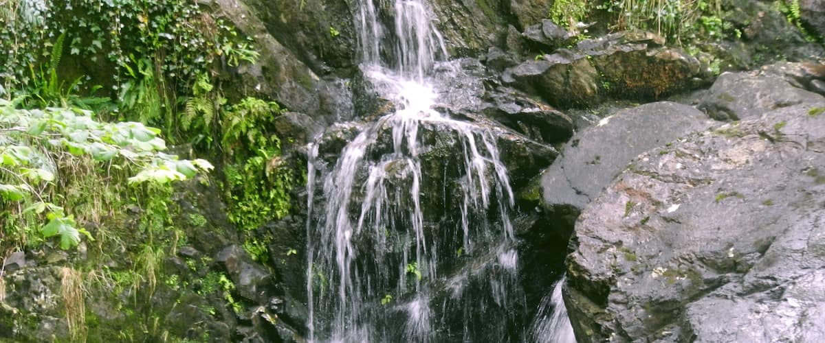 A waterfall cascading over rocks in a lush, green forest.