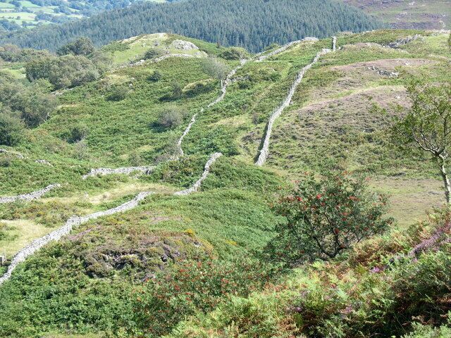 A winding mountain path surrounded by lush greenery and a dense forest in the background.
