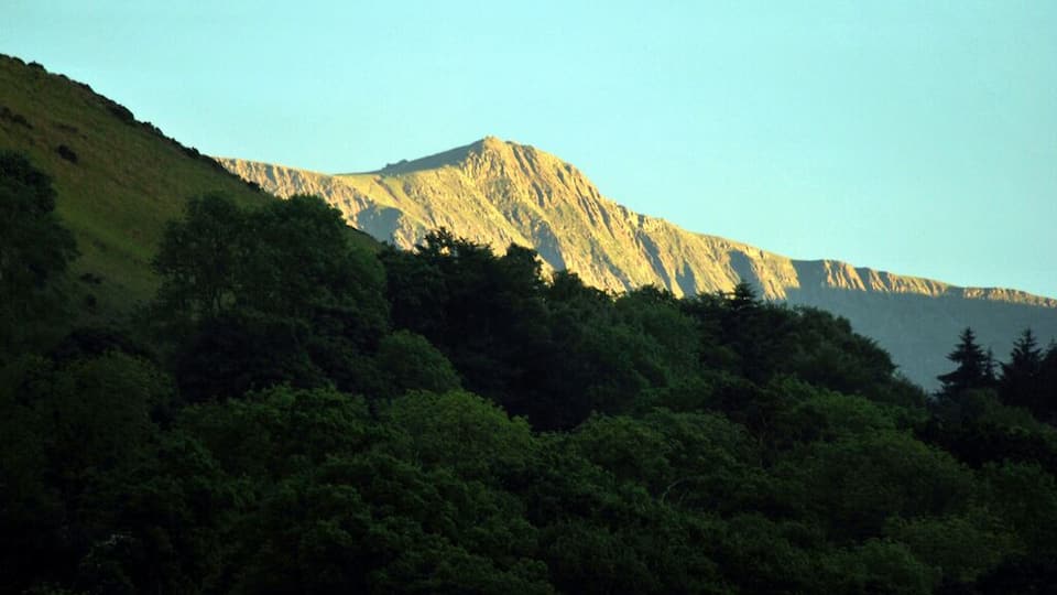 A mountain with a forested foreground.