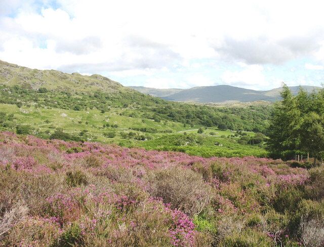 Paesaggio collinare con brughiera e campi verdi.