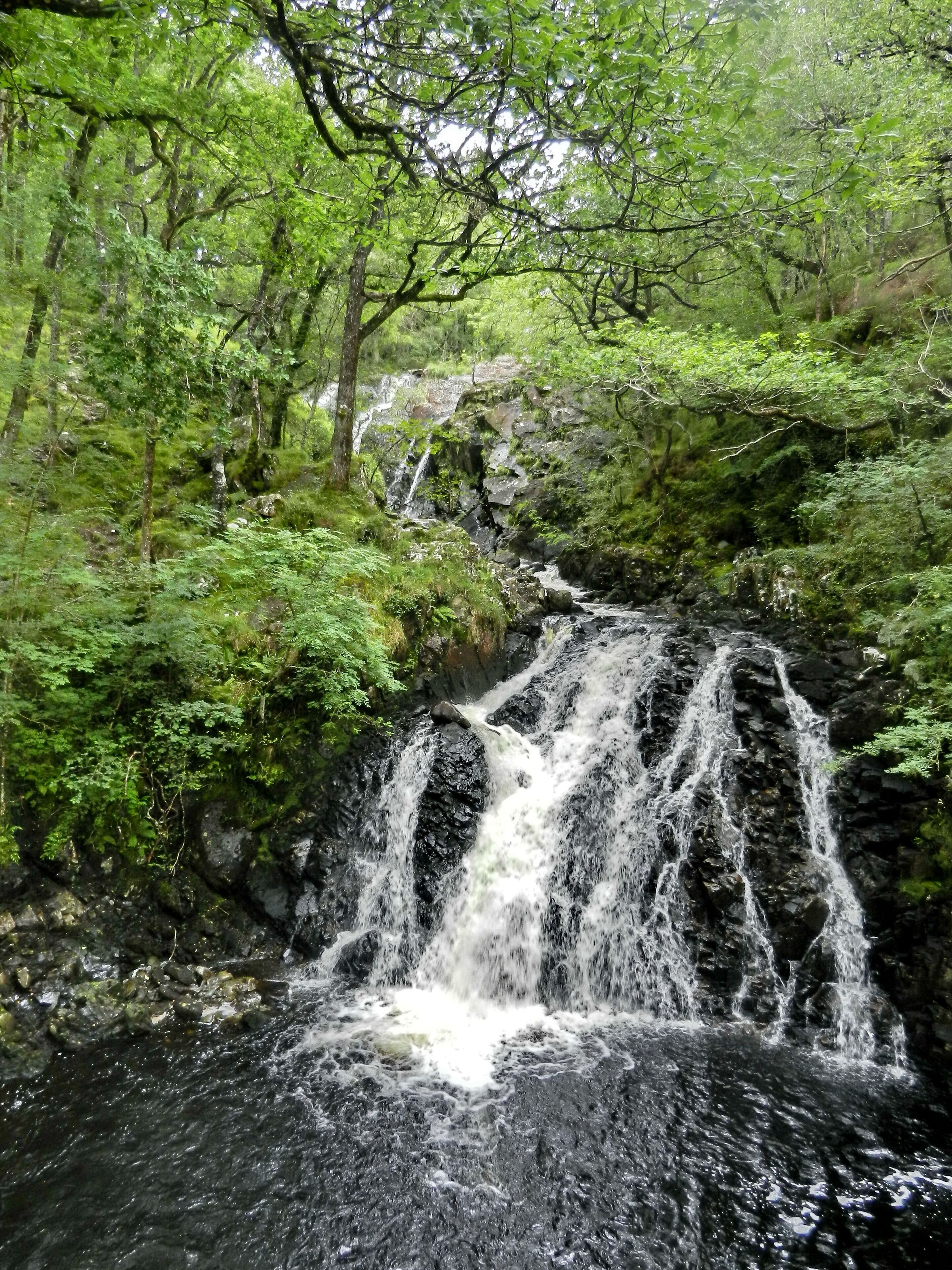 A waterfall in a forested area with dense greenery and rocky terrain.