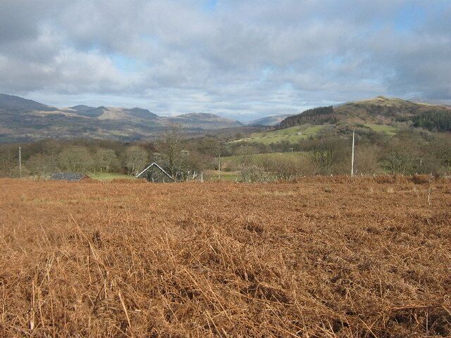 Dead bracken near Ty'n y clawdd Looking south east towards Y Foel.