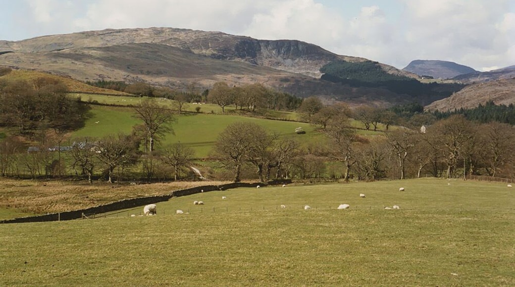 Fields near Glasdir Taken from the Dolgellau to Llanfachreth road. Y Garn stands in the distance, with its impressive crag of Craig-y-cae clearly visible.