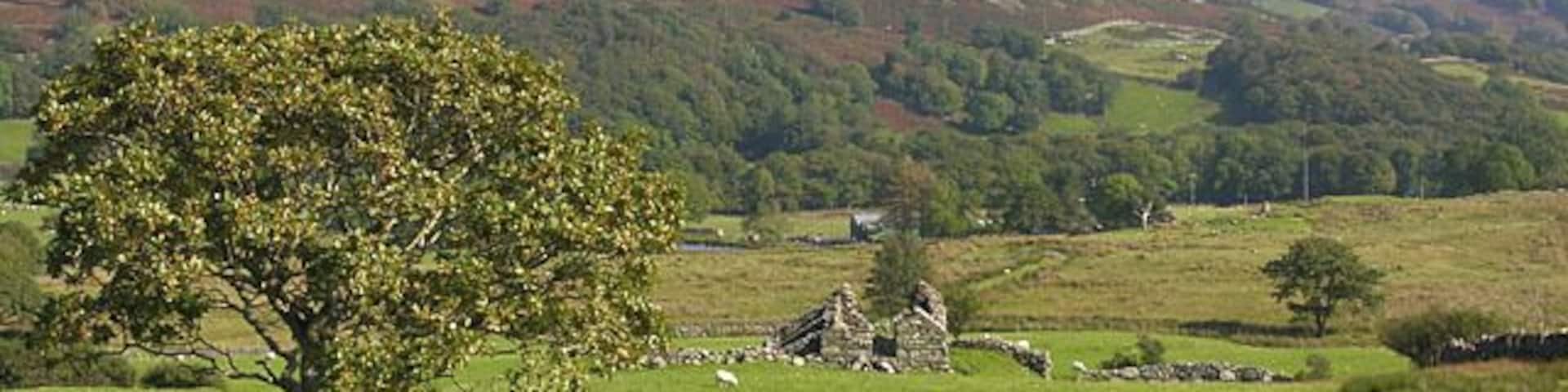 Fields near Caer Goronwy