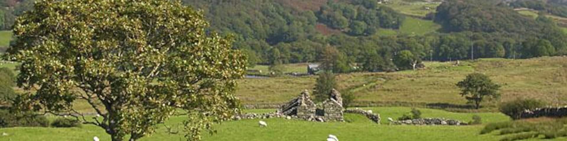 Fields near Caer Goronwy