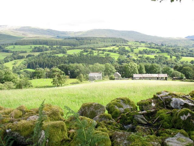 Hay meadow to the rear of Hengwrt Farm
