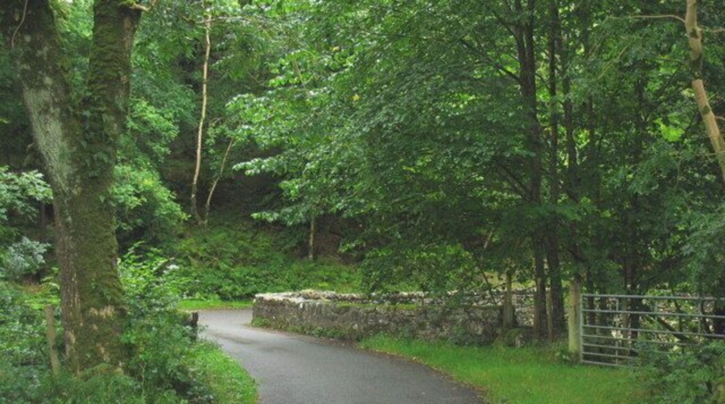 The eastern approach to Pont ar Felau Pont ar Felau means "bridge on (river)Melau"