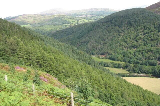 A valley with dense forest, rolling hills, and a distant view of mountains.