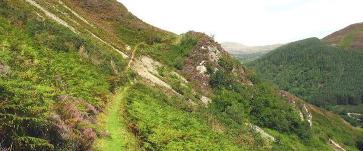 The path north towards Hafod-y-Fedw