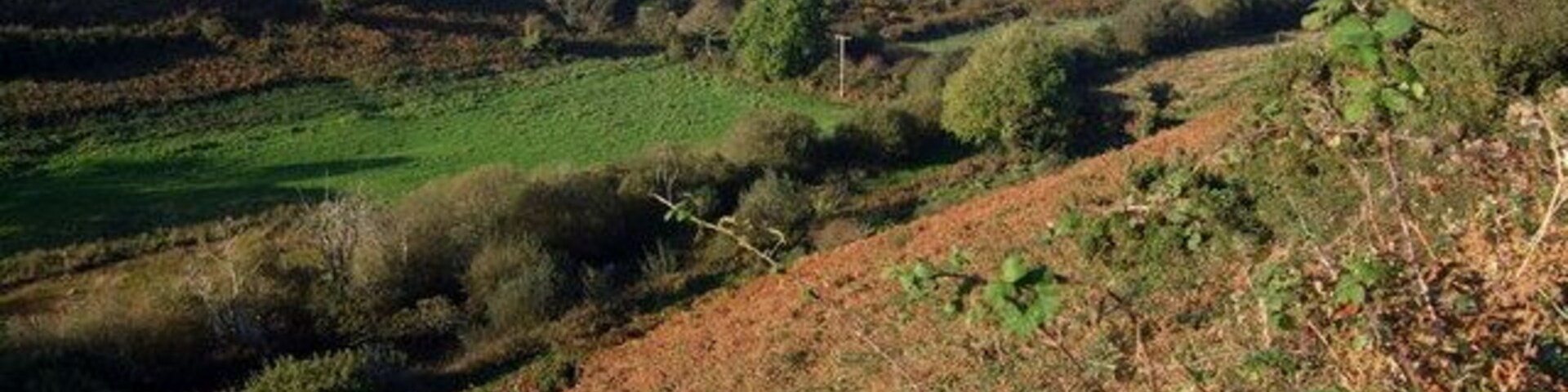 Paisagem acidentada com campos verdes e vegetação densa.