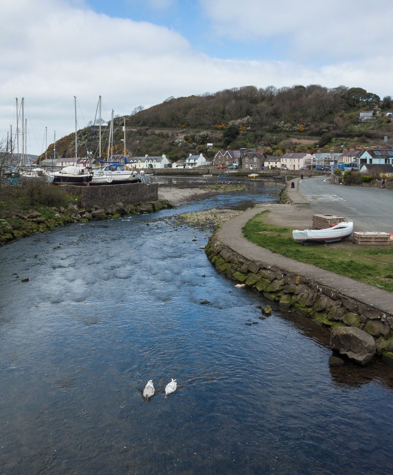 Fishguard, Wales IMG_0244.jpg