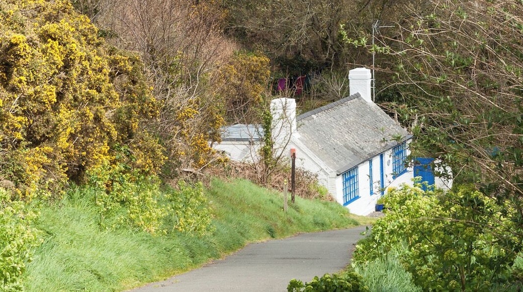 Fishguard, Wales IMG_0162