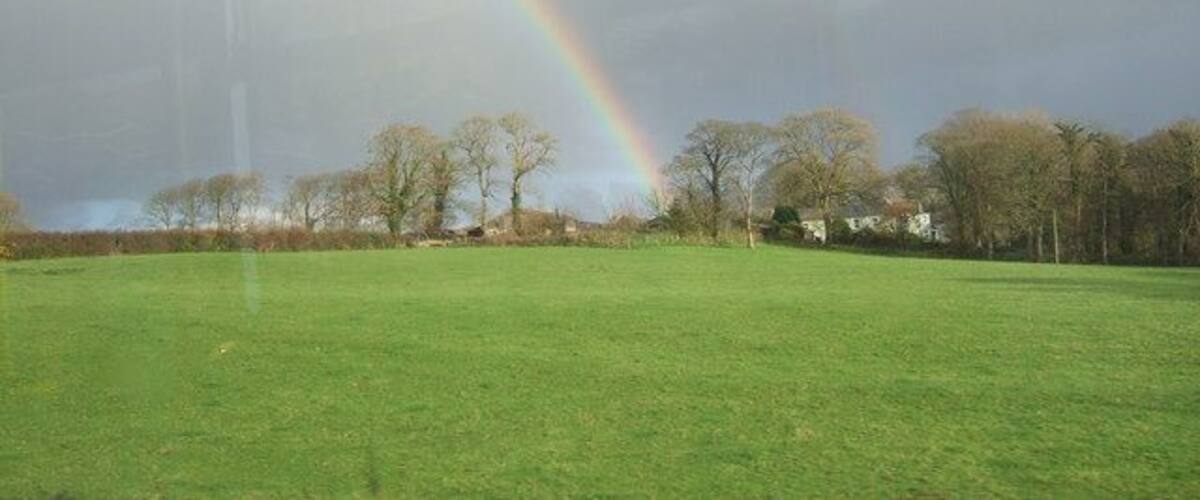 A grassy field with a rainbow and trees in the background.