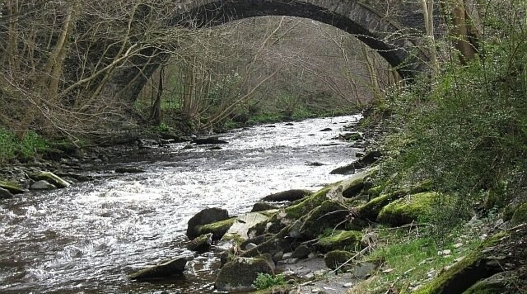 Bridge over Afon Ceiriog at Pontfadog This shows the downstream side of the bridge carrying a minor road over the River Ceiriog at Pontfadog.
