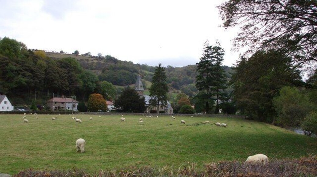 View of Graig