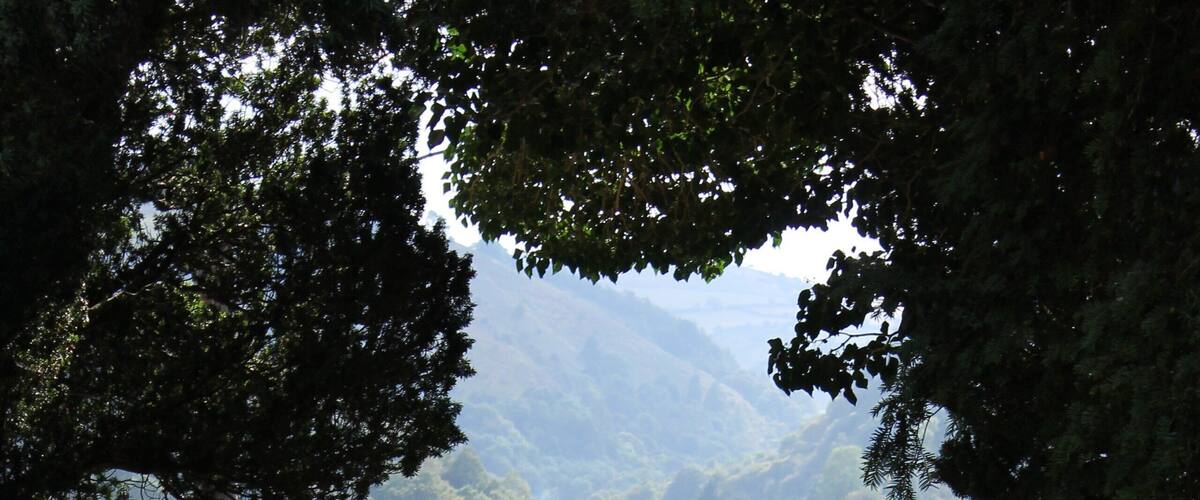 This is a photo of listed building number