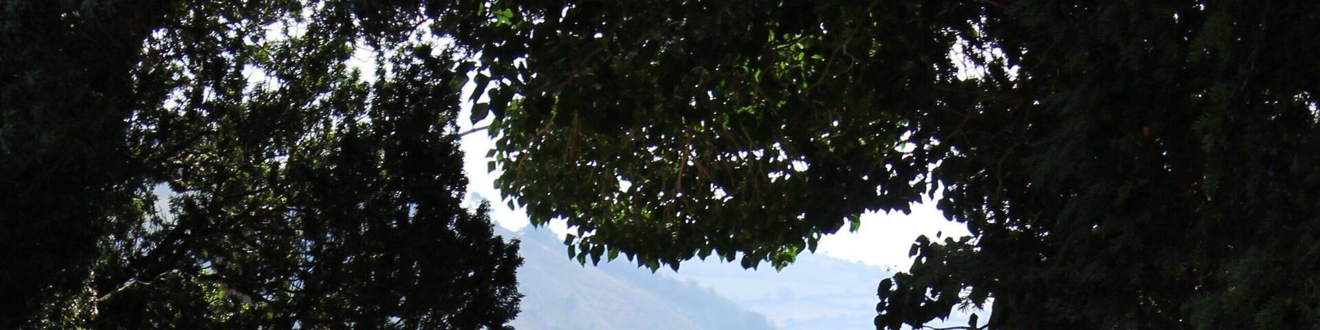 This is a photo of listed building number