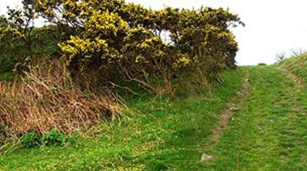 Walwyn's Castle. Part of the extensive earthworks of Walwyn's Castle just south of the church.
