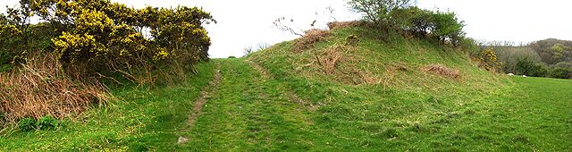 A grassy hill with a dirt path leading up.
