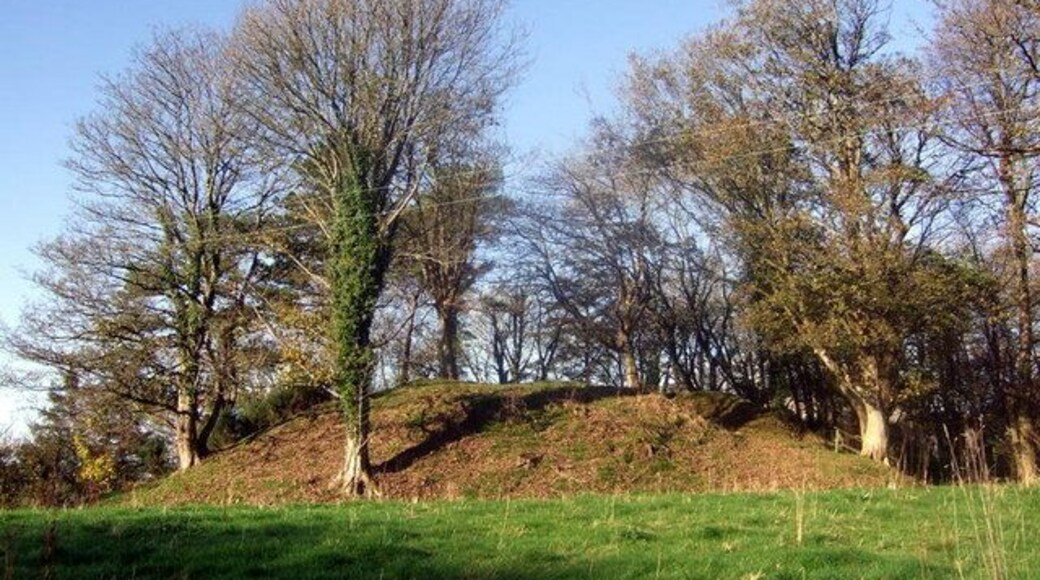 Wolf's Castle mound The remains of a C12 motte and bailey castle lie just above the confluence of the Afon Anghof and the Cleddau Wen, a commanding defensive position for the Normans here. It's not certain whether Wolf was one of them, or whether the name comes from the animal itself: the Welsh name Cas Blaidd signifies the latter. This is the motte, the bailey is to the right.