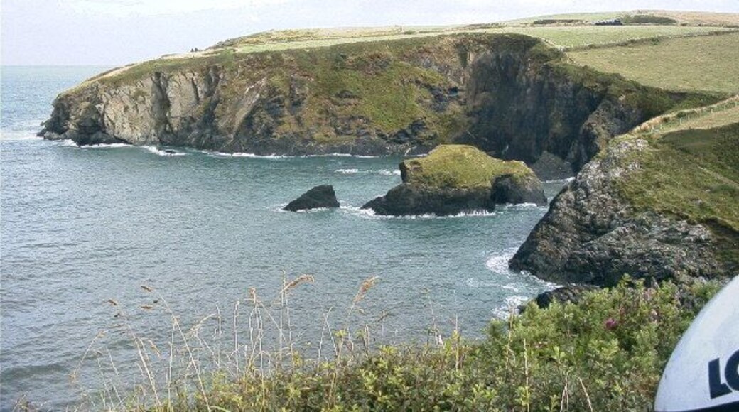 Aberdraw, nr. Trevine. The cliffs above Aberdraw, leading to Trwyn Llwyd, near Trevine.