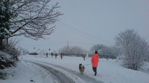 Village snowmen on the village 'green'