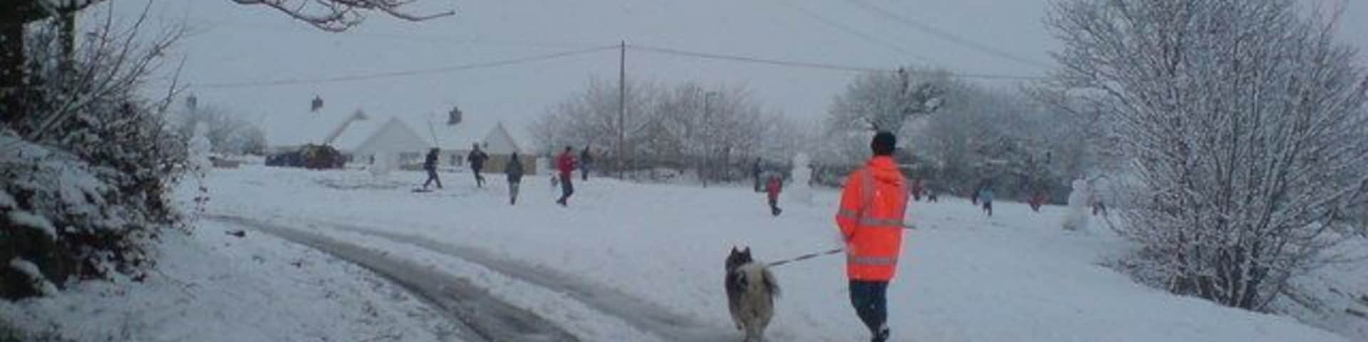 Village snowmen on the village 'green'