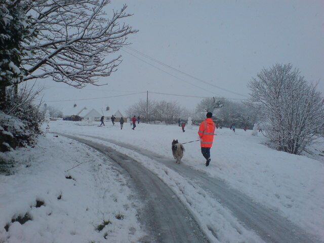 A snowy rural road with a person in an orange jacket walking a dog.