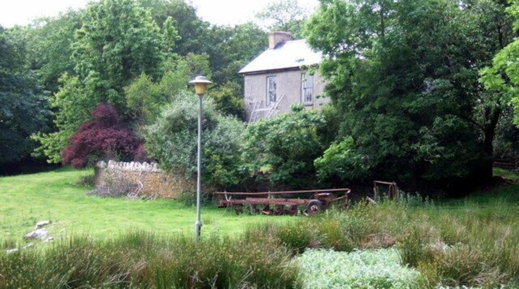 Brimaston Hall Old gentry house associated with the Devonald and Morse families which now seems a little run-down and the pond in the foreground is completely overgrown. The street light seems an odd touch in such a profoundly rural spot.