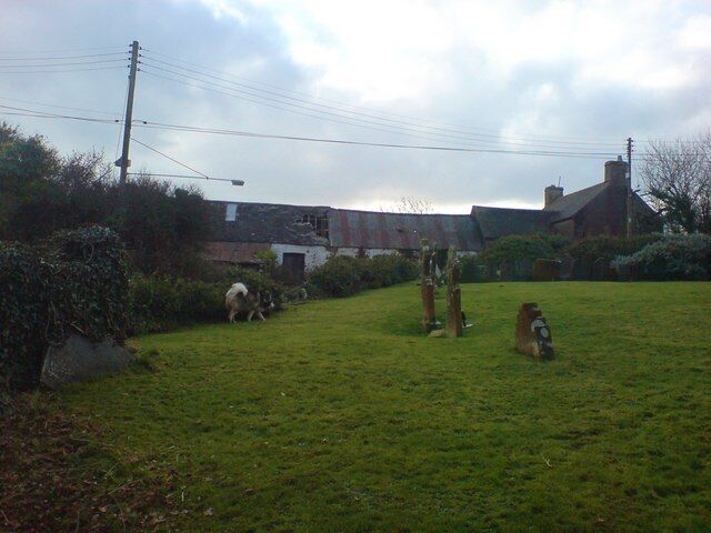 A rural landscape with a grassy field, a dog, and a building in the background.