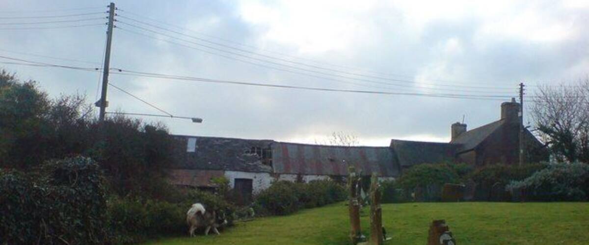 A rural landscape with a grassy field, a dog, and a building in the background.