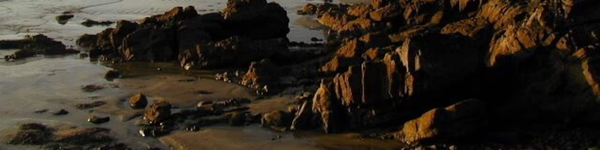 Looking northeast from Little Haven Point