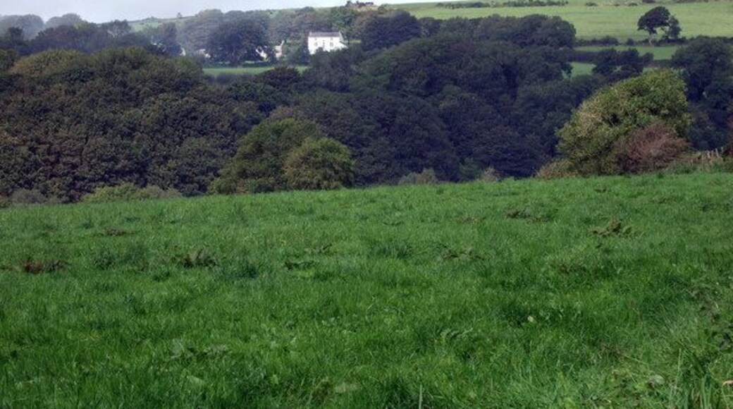 View towards Summerton Zoomed view north from the Little Newcastle to Puncheston road, showing Summerton East on the slopes of the fortified hill camp of the same name. The valley below is that of the Afon Glan-rhyd.
