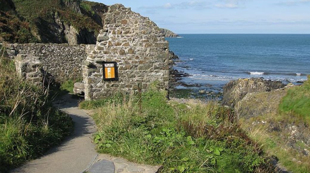 Ruins of Trefin Mill/Melin Trefin The mill was in use by the villagers of Trefin for around 500 years. Wheat was milled into flour for bread and barley was ground into winter feed for cattle and pigs. By 1900 cheap grain from overseas was being milled in local towns in much bigger mills. Trefin Mill eventually closed in 1918. A leat, diverted from the nearby stream, just out of shot to the right, would have provided the power to turn the large outside wheel, (now removed).