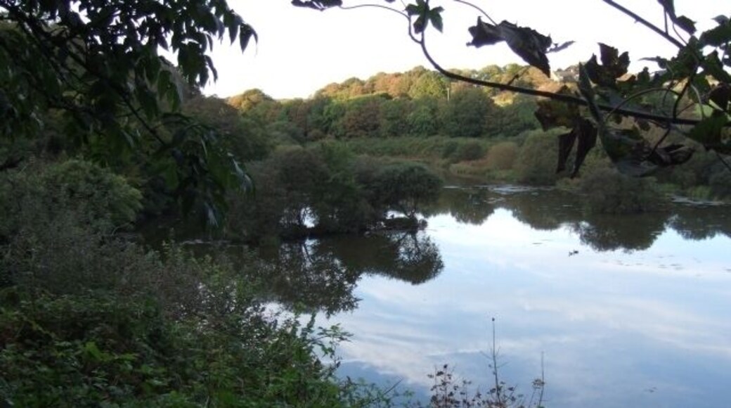 The lake in Rosemoor nature reserve The estate marked Rosemoor in Walwyn's Castle includes a small nature reserve centred on this lake