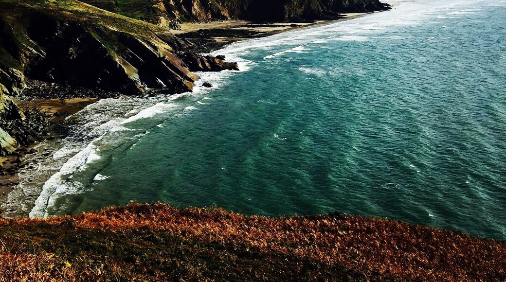 Walk from Solva to Newgale Pembrokeshire ❤️