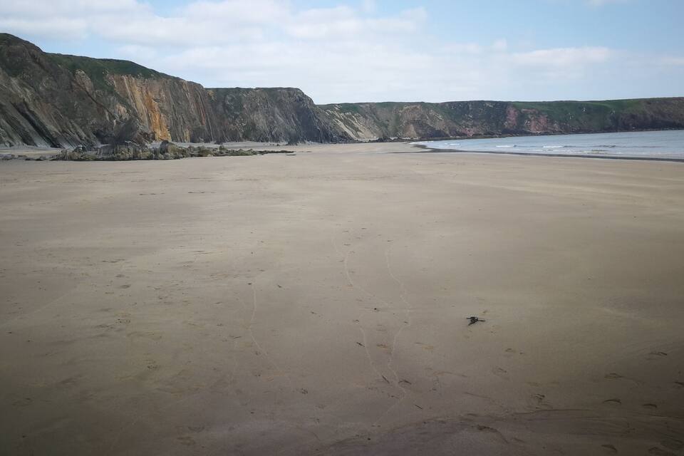A sandy beach with cliffs in the background.