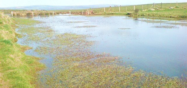 A contained pool on the top of the mountain Providing the sheep with water.