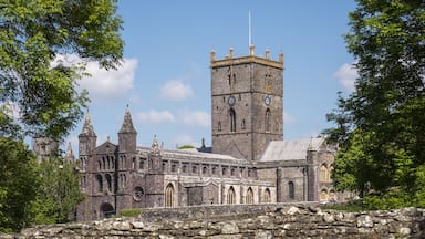 A historic stone church with a tall tower and spires, surrounded by trees.