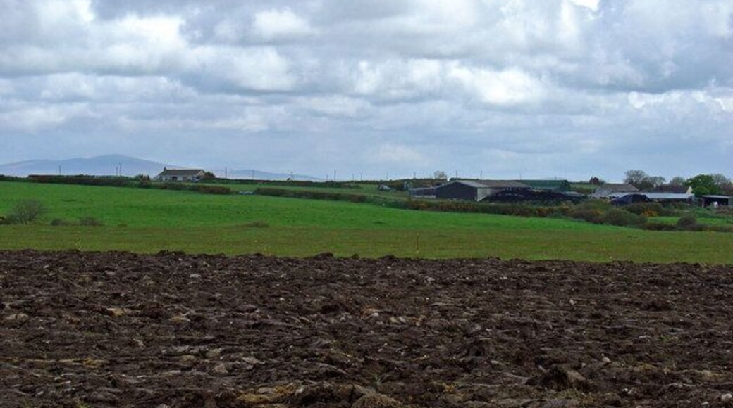 Little Temperness Farm, Haverfordwest On the left horizon is Moel Cwmcerwyn, the highest point in the Preseli hills.