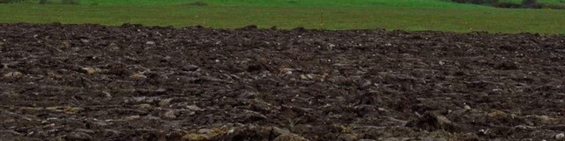 Little Temperness Farm, Haverfordwest On the left horizon is Moel Cwmcerwyn, the highest point in the Preseli hills.