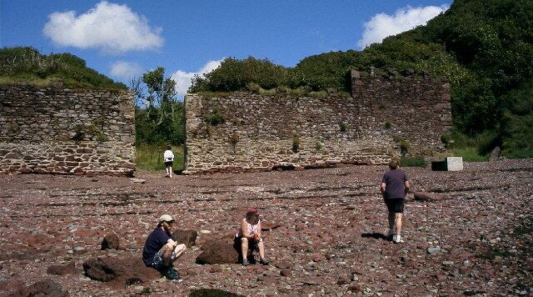 Monk Haven, Pembs. Defensive wall built across the exit from Monk Haven bay. Looking North