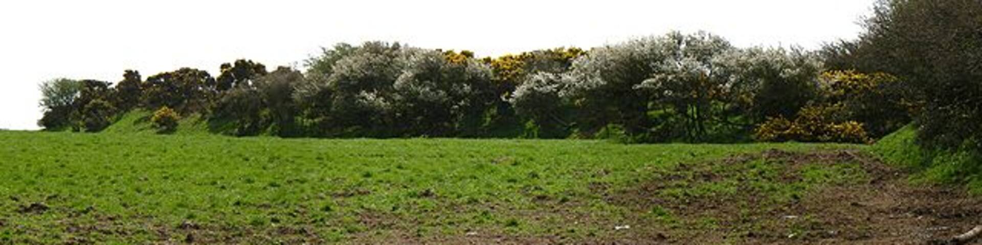 Romans Castle. On the 1:25,000 this is shown as Romans Castle Fort.